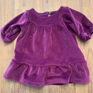 Tea Collection Rich Purple Velvet Top